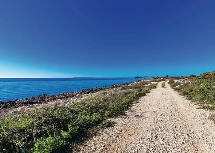 In With Wifi * Mandre